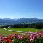 Suntheim